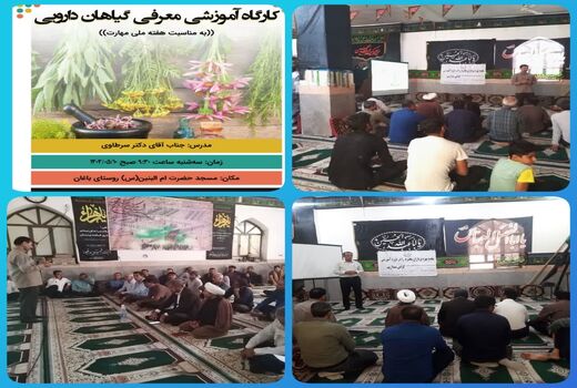 برگزاری کارگاه آموزشی آشنایی با گیاهان دارویی در شهرستان دشتی