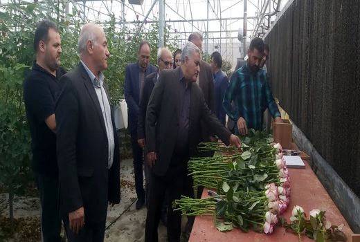 بازدید رئیس سازمان جهاد کشاورزی آذربایجان غربی از گلخانه هیدروپونیک