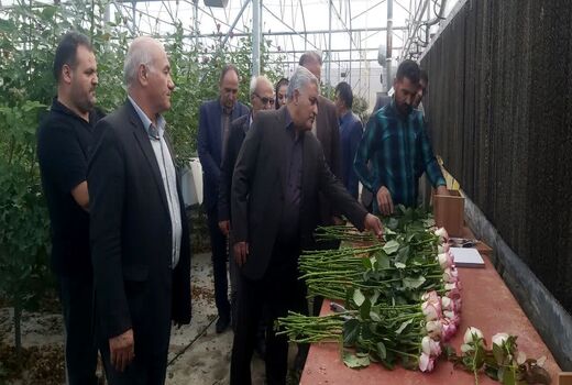 بازدید رئیس سازمان جهاد کشاورزی آذربایجان غربی از گلخانه هیدروپونیک