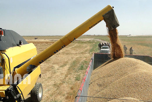 ۱۵۰هزار هکتار کشت مکانیزه برنج افزایش می‌یابد