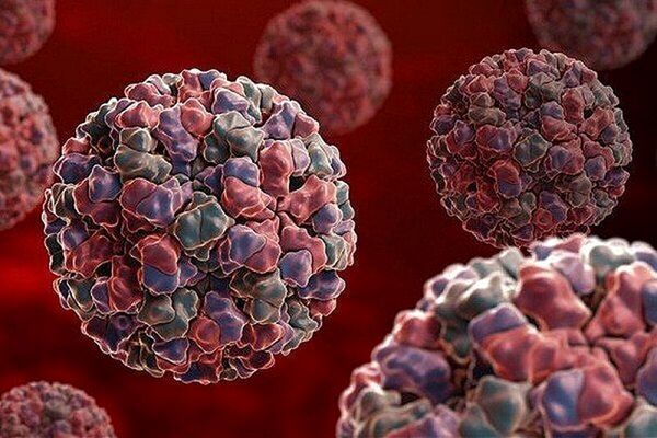 موسسه رازی زیرساختهای تولید واکسنHMPV را دارد