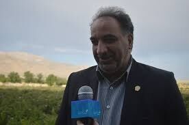 سهم 15 درصدی فارس در تولید محصولات باغی کشور