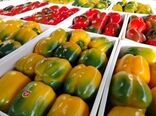 باقی‌مانده سموم خط قرمز بازارهای صادراتی سبزیجات گلخانه‌ای