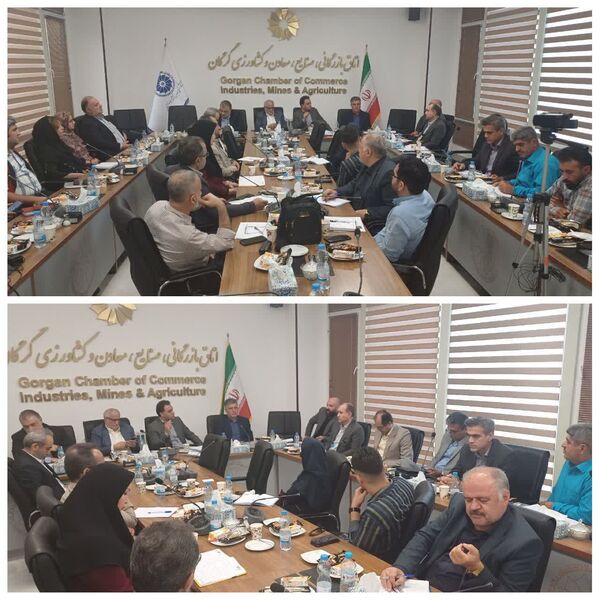 برگزاری دومین جلسه میز کشوری توتون در استان گلستان