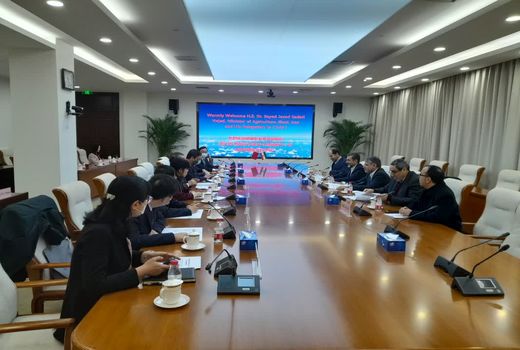 تعامل بیشتر محققان ایران و چین برای انجام پروژه‌های مشترک بخش کشاورزی