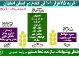 خرید 75 هزار 101 تن گندم در استان اصفهان تا پنجم مرداد