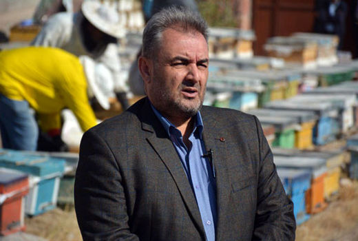 آمارگیری از زنبورستانهای استان همزمان با سراسر کشور از هفته دوم مهرماه سال 1398 آغاز می شود