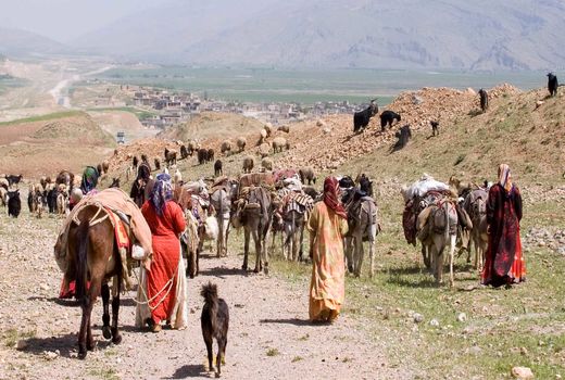 روایتی از کوچ ایل بختیاری