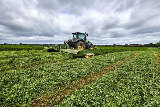 اصلاح روش برداشت یونجه؛ راهکاری برای صرفه‌جویی تا ۸۰۰ هزار تن کنجاله سویا 