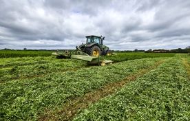 اصلاح روش برداشت یونجه؛ راهکاری برای صرفه‌جویی تا ۸۰۰ هزار تن کنجاله سویا 