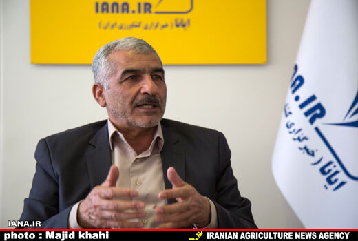 مجری طرح گندم: دولت از حمایت ها دریغ نکند، کشورهای عضو اتحادیه اروپا سالانه 600 میلیارد دلار به بخش کشاورزی یارانه پرداخت می‌کنند/استاد اقتصاد دانشگاه: حمایت ازبخش کشاورزی در تمام دنیا ویژه است