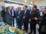 بازدید رایزنان اقتصادی وزارت امور خارجه از مؤسسه تحقیقات علوم باغبانی
