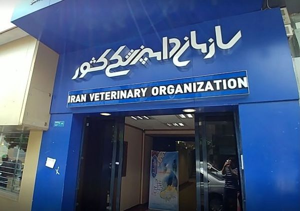 سازمان دامپزشکی در تقاطع قانون و ساختار / واکاوی پیامدهای تصویبنامه جدید شورای عالی اداری