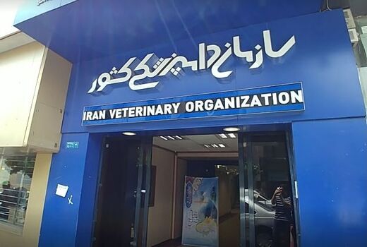 سازمان دامپزشکی در تقاطع قانون و ساختار / واکاوی پیامدهای تصویب‌نامه جدید شورای عالی اداری

