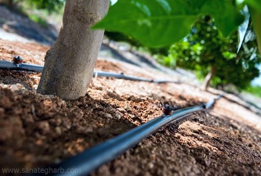 ‍اتمام طراحی و مطالعات طرح شبکه آبیاری 100 هکتاری قلعه رشید شهرستان اردل