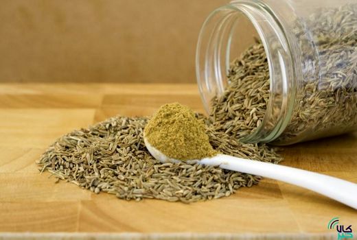 انعقاد ۳۳ هزار قرارداد آتی زیره سبز در ۱۳ روز