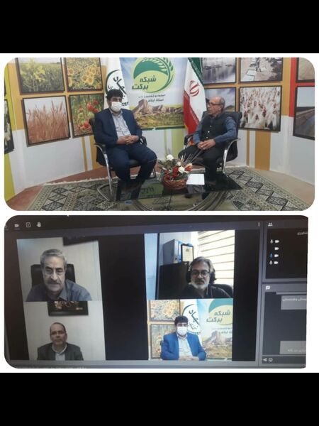 ارتباط زنده اقدسی رئیس سازمان جهاد کشاورزی استان ایلام با استودیو کشاورز –شبکه برکت