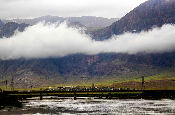 باران حال بلوط‌های کرمانشاه را خوب کرد