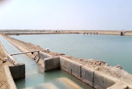 نظارت بر ۱۵ طرح پرورش میگو در اراضی واگذار شده 