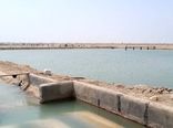 نظارت بر ۱۵ طرح پرورش میگو در اراضی واگذار شده 