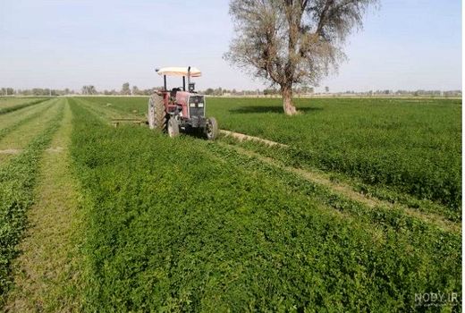 صرفه‌جویی پنج میلیون مترمکعبی آب در چهارمحال و بختیاری