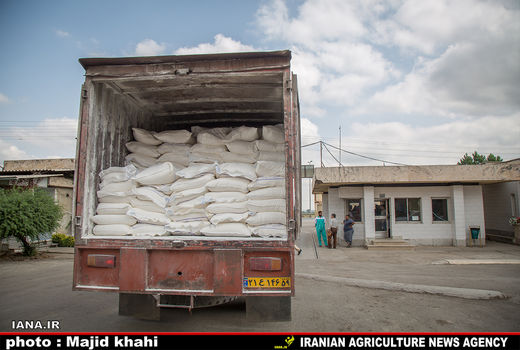 کشف حدود 35 تن آرد احتکاری در شیراز