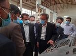 حمایت رئیس سازمان جهاد کشاورزی استان تهران از شرکت‌های دانش بنیان