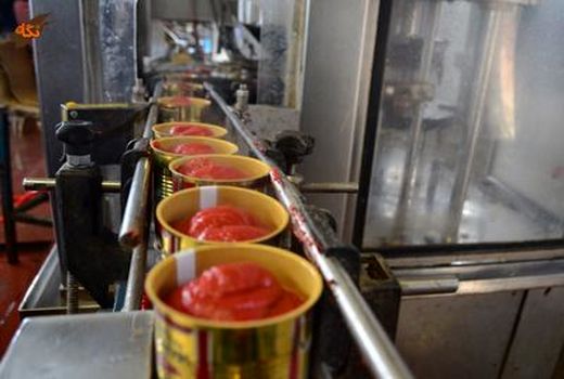 مرودشت، بزرگترین صادرکننده رب گوجه فرنگی در فارس