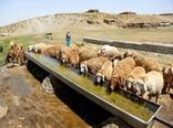ارتقای بهداشت دام عشایر با احداث ۸۵۹ متر آبشخور در سال ۱۴۰۴