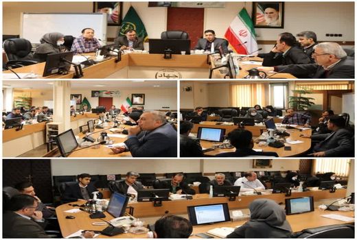 افزایش 13درصدی جوجه ریزی در استان تهران