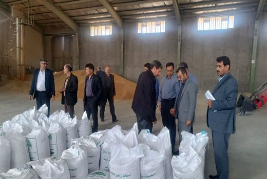 بازدید مدیر تعاون روستایی آذربایجان شرقی از مراکز بوجاری و فرآوری بذر اصلاح شده میانه