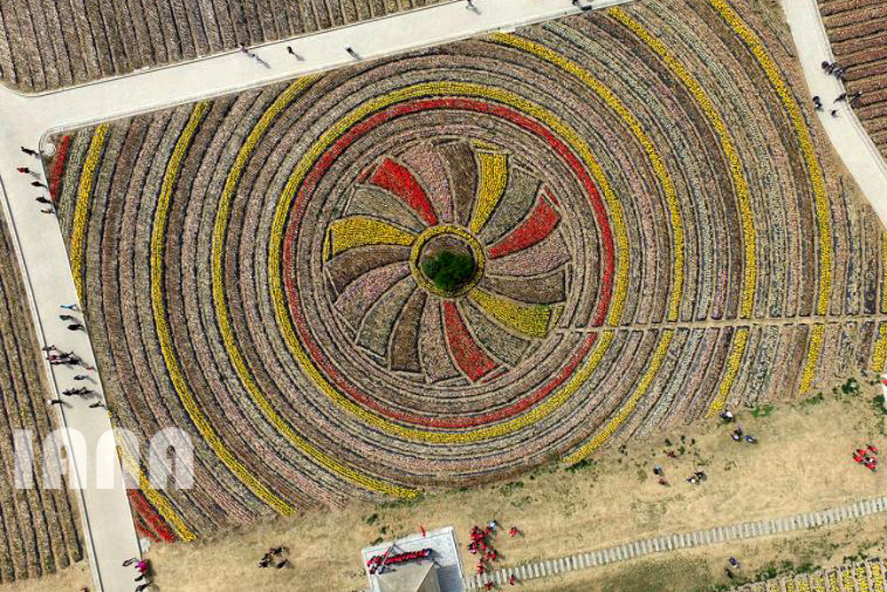 هندسه کشاورزی