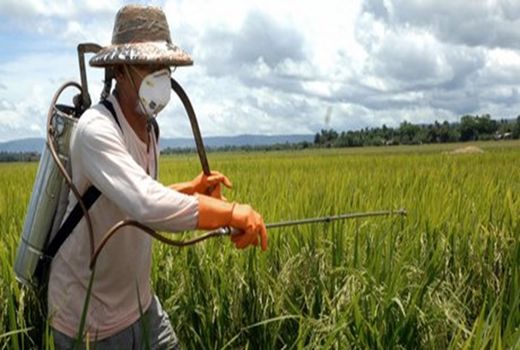 مبارزه بیولوژیک به جای سمپاشی بی‌حساب