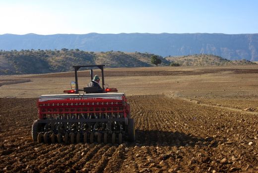 آغاز کاشت محصولات پائیزه در شهرستان بدره