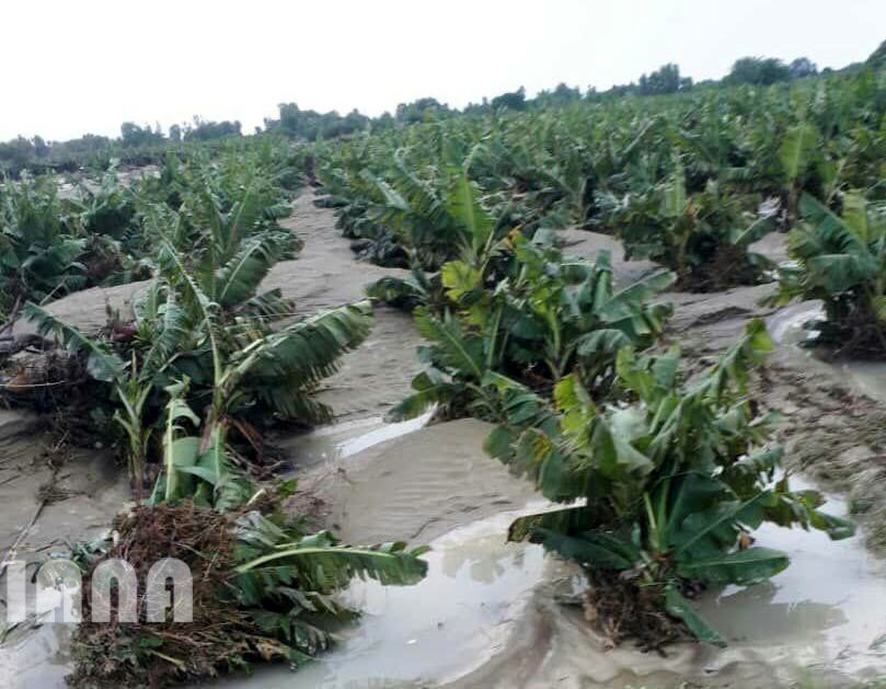 خسارت سیل به بخش کشاورزی استان سیستان و بلوچستان 2
