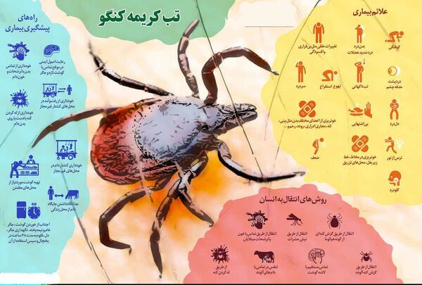 آموزش راهکارهای پیشگیری از تب کریمه – کنگو به قصابان شهرستان شهربابک