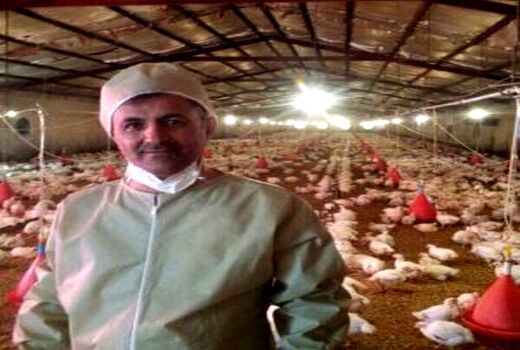 خسارت ۴۰۰میلیارد ریالی کرونا به صنعت طیور ایلام