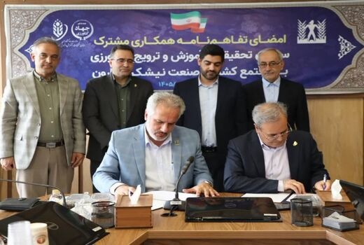 نیشکر در مسیر بازآفرینی علمی/ تات و بخش خصوصی هم‌پیمان شدند