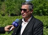 گل محمدی؛ فرصت طلایی اصلاح الگوی کشت در آذربایجان شرقی
