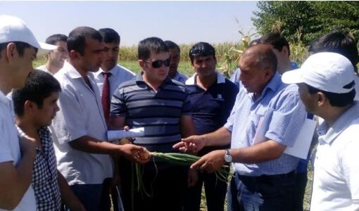  ۶ اولویت آموزش و ترویج کشاورزی برای انتقال فناوری به مزارع