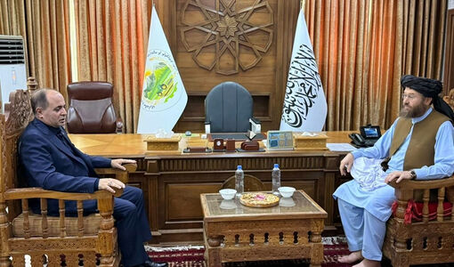  ایران و افغانستان از ظرفیت‌های مکمل و متنوعی در بخش کشاورزی برخوردار هستند