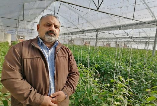 تعلل سرمایه گذاران در نهضت گلخانه‌ای استان