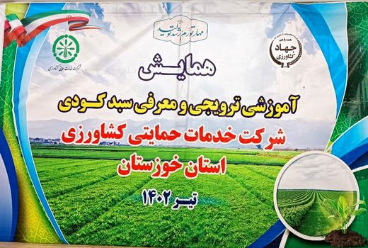 معرفی کودهای غیر یارانه‌ای به کشاورزان خوزستانی