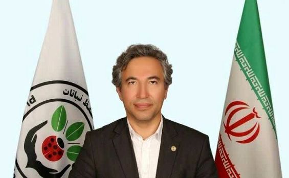 خسارت پنهان و کاهش محصول در مرحله برداشت گندم