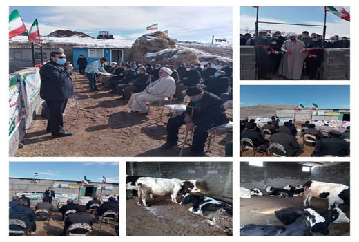 افتتاح اولین گلخانه کشت علوفه شمال‌غرب کشوردر اهر 