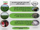   پایش سن مادر در  اراضی کشاورزی شهرستان قزوین