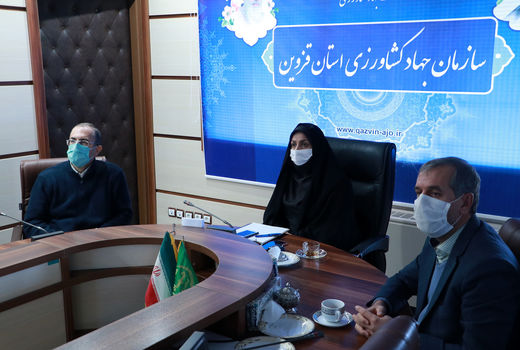 ثبت اطلاعات ۵۶ درصد اراضی کشاورزی استان قزوین در سامانه سیاک