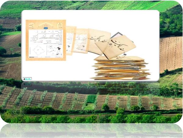238 سند مالکیت برای اراضی کشاورزی ساری صادر شد