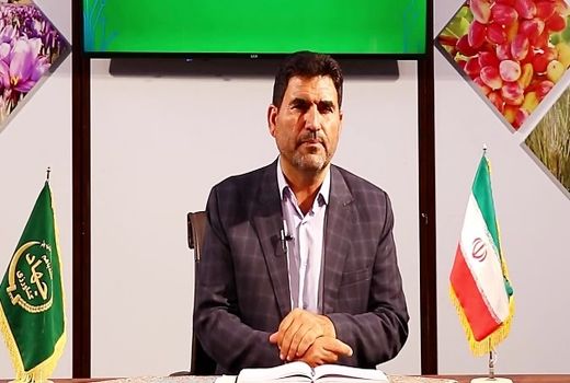 باغات رها شده مهمترین مشکل مبارزه با آفات