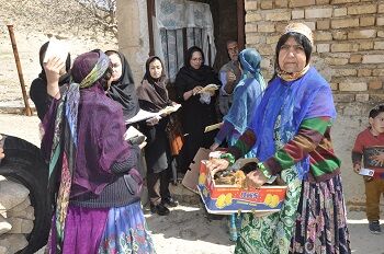  3500  قطعه نیمچه مرغ  بومی در مناطق عشایری فارس توزیع شد